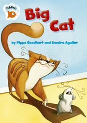 cover - Big Cat