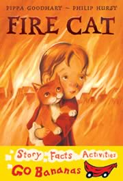 cover - Fire Cat